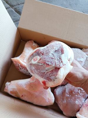 山東臨沂蘭山區(qū)豬副產(chǎn)品批發(fā)概覽 優(yōu)質(zhì)豬肘子，價格親民